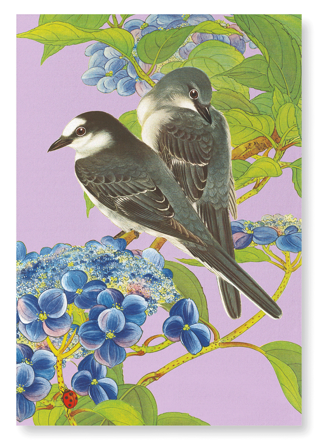 ASHY MINIVET BIRDS WITH HYDRANGEA (C.1930)