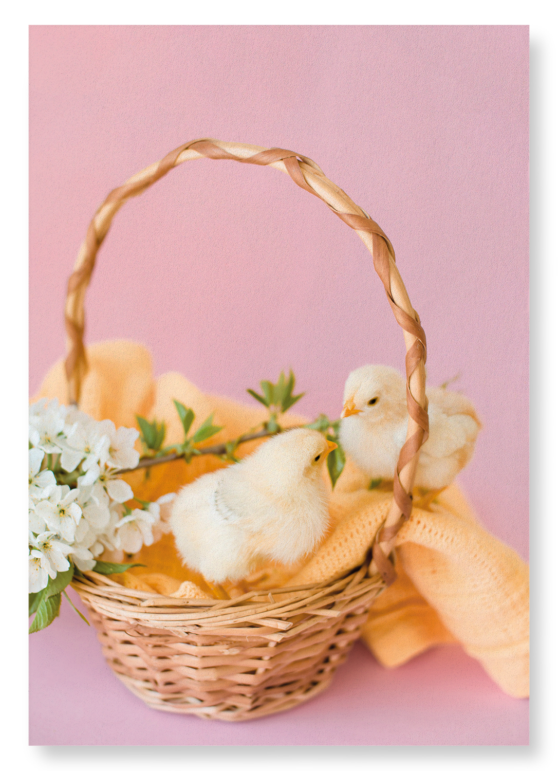 TWO CHICKS AND BASKET