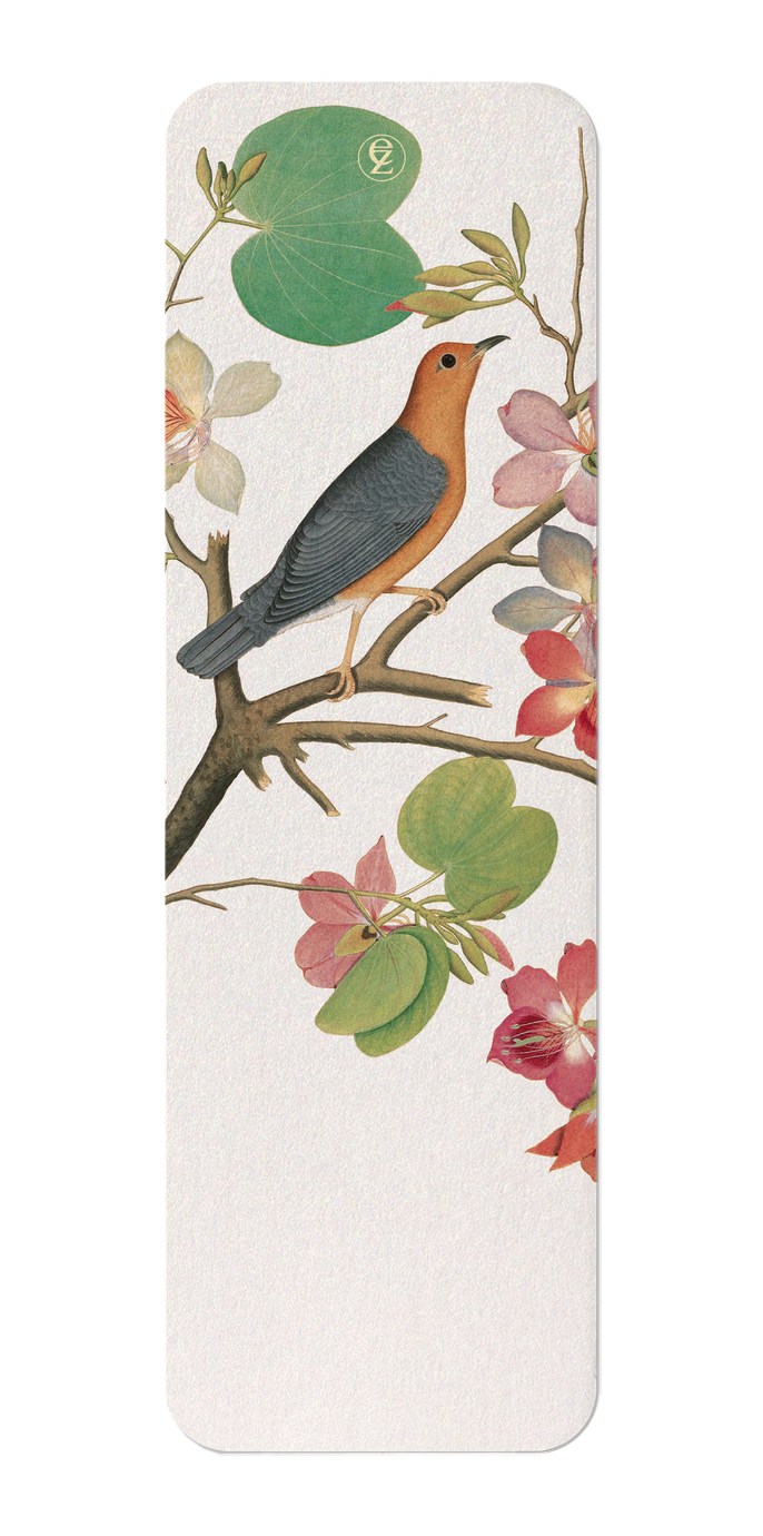 ORANGE BIRD ON ORCHID BRANCH (1778)