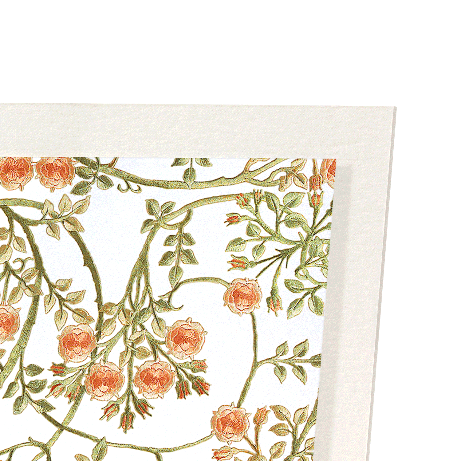 BRIAR ROSES EMBROIDERY