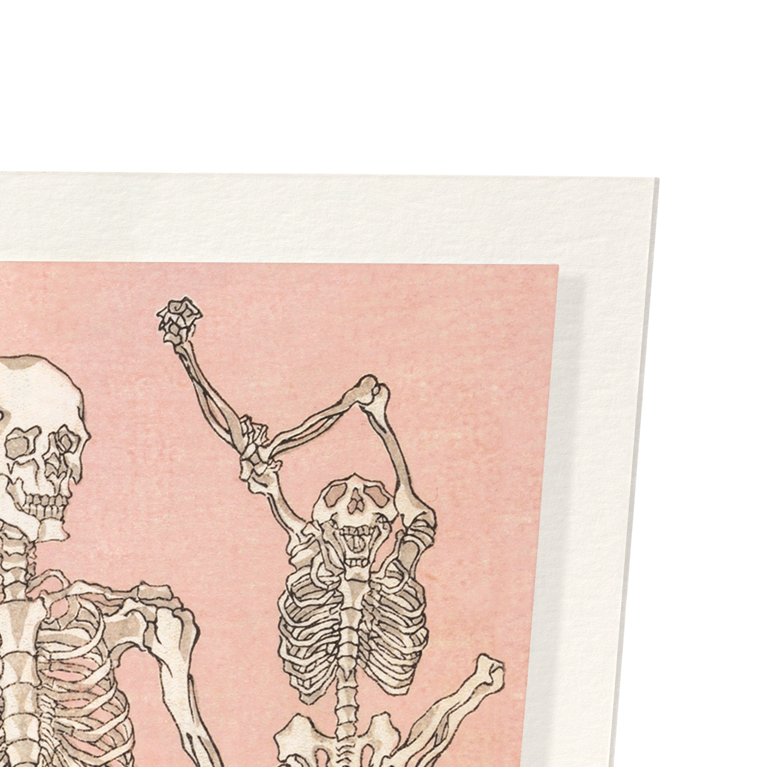 STUDY OF SKELETONS FRONT (1881)