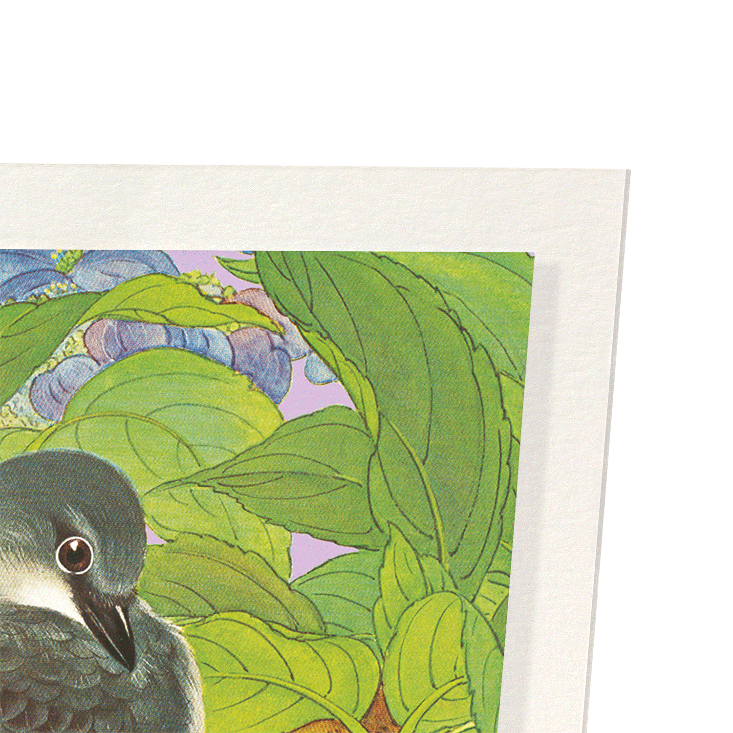 ASHY MINIVET BIRDS WITH HYDRANGEA (C.1930)