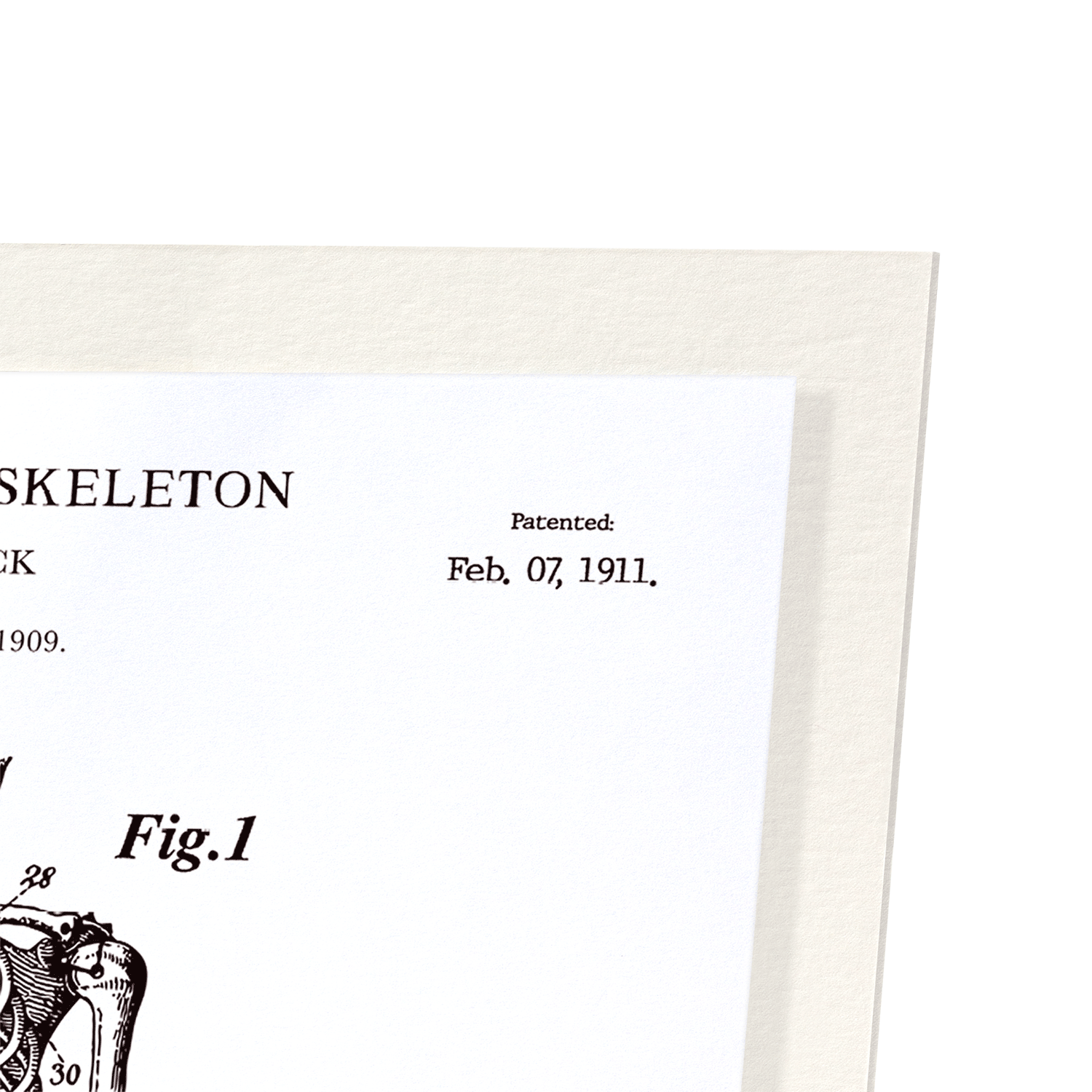 PATENT OF ANATOMICAL FULL SKELETON (1911)