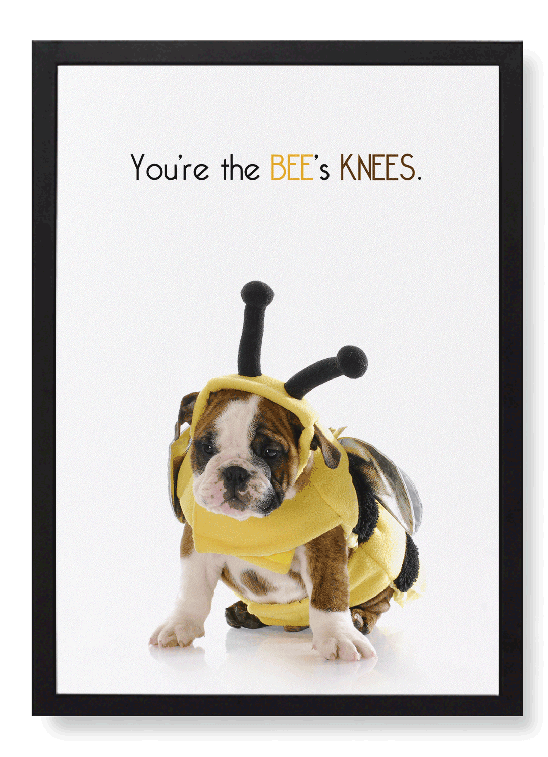 THE BEE'S KNEES