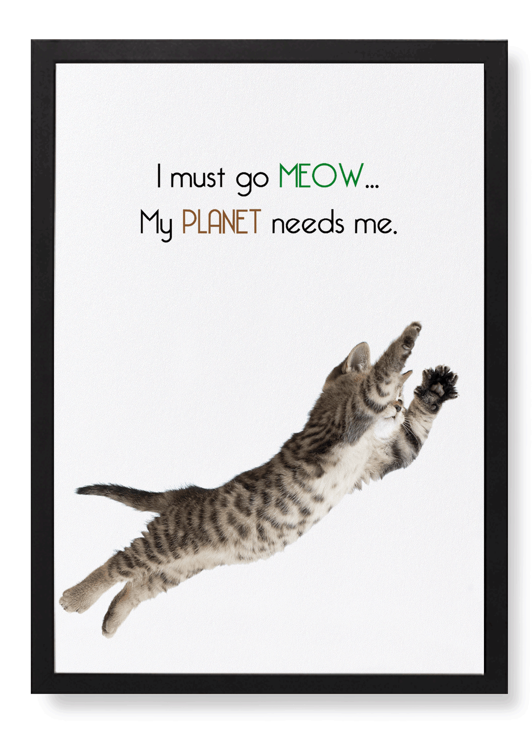 I MUST GO MEOW