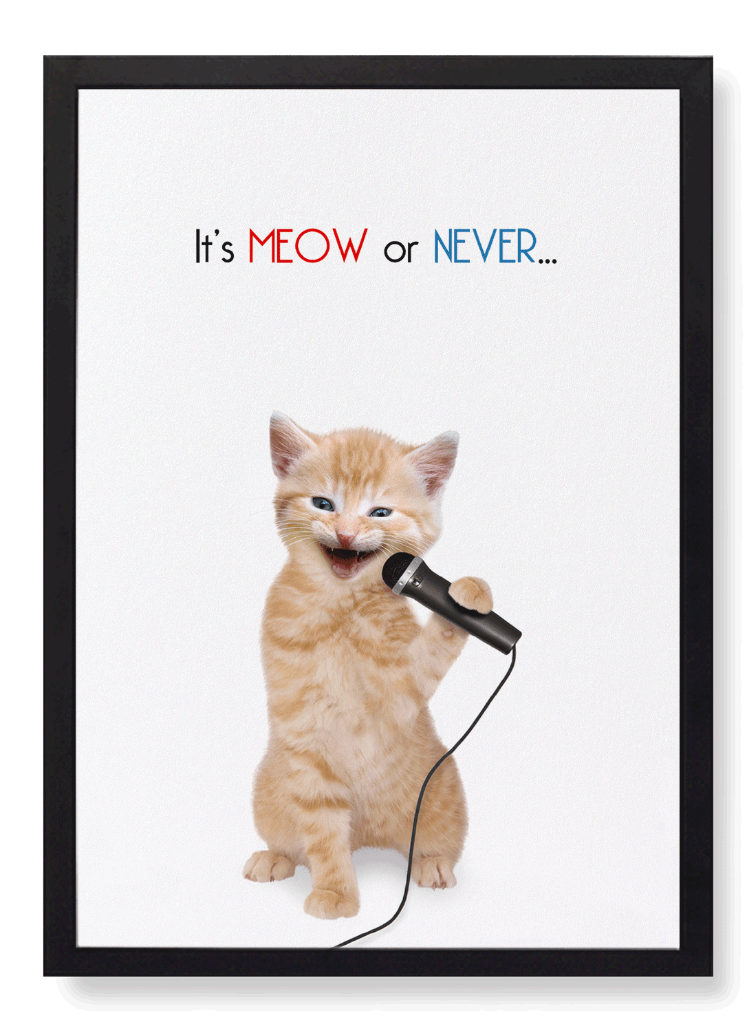 IT'S MEOW OR NEVER