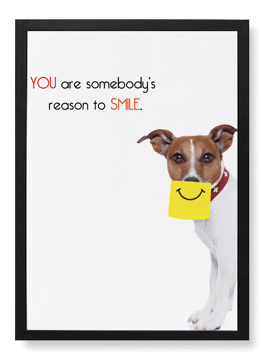 SOMEBODY'S REASON TO SMILE