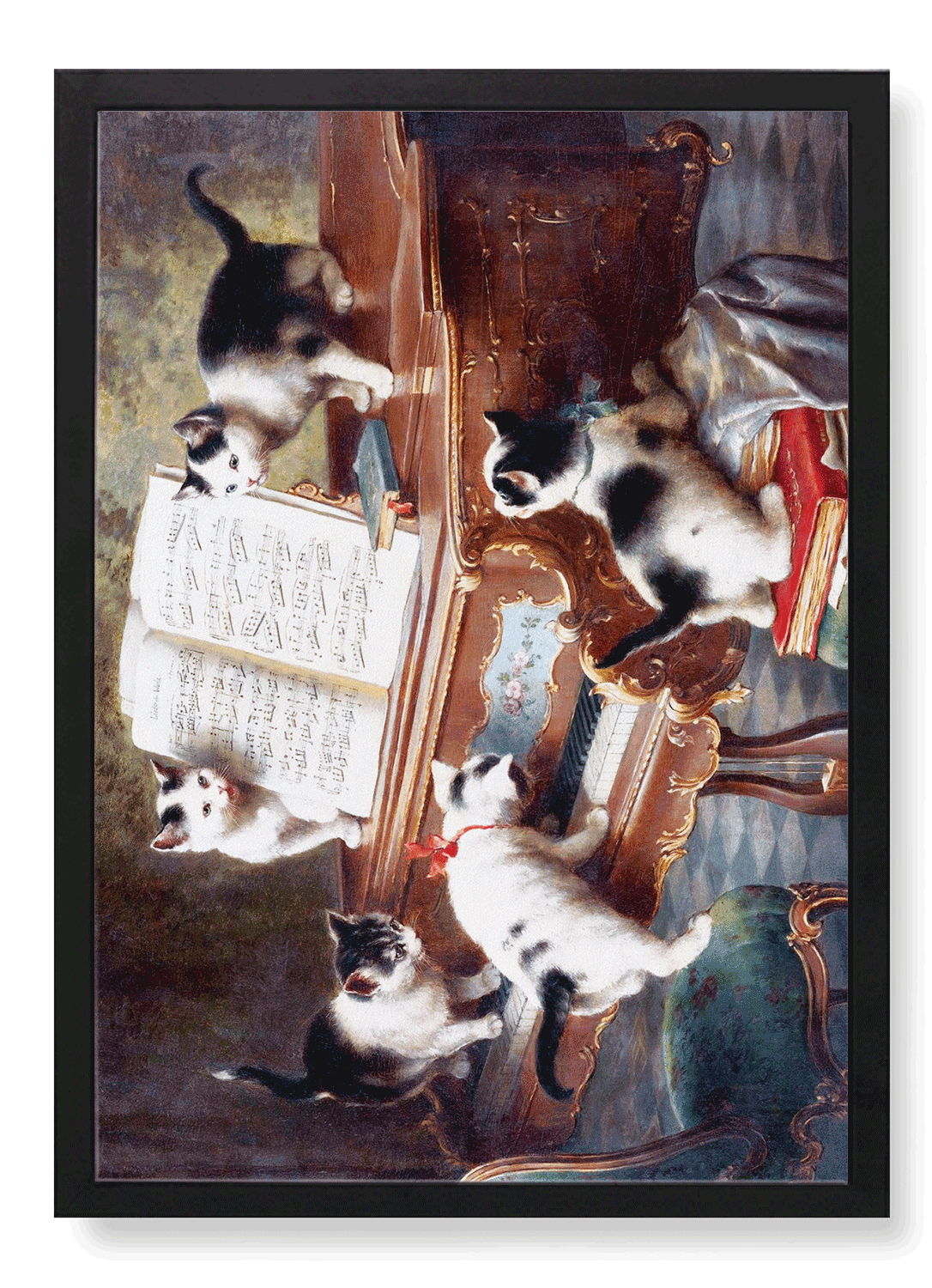CATS AND MUSIC