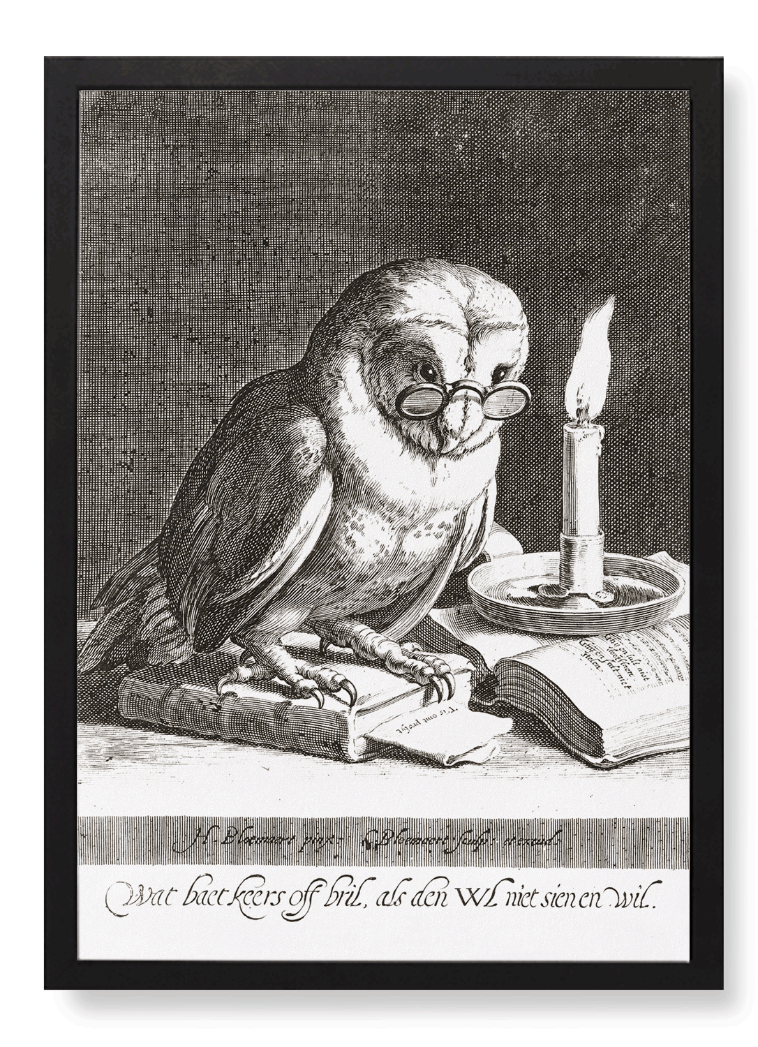 WISE OWL (1625)