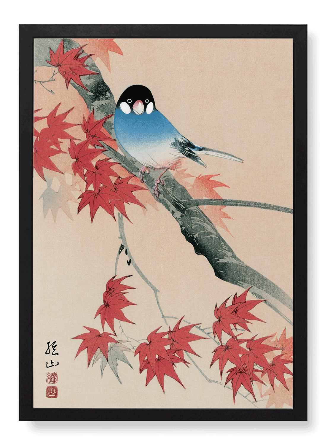 JAVA FINCH IN THE AUTUMN