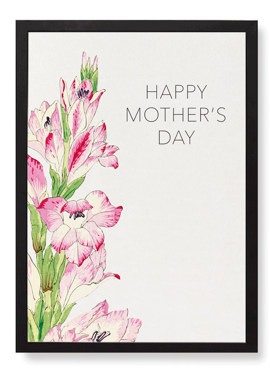MOTHER’S DAY (GLADIOLUS FLOWER)