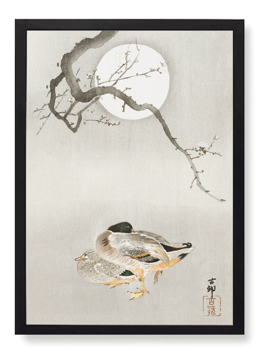 DUCKS AND BLOSSOM IN FULL MOON