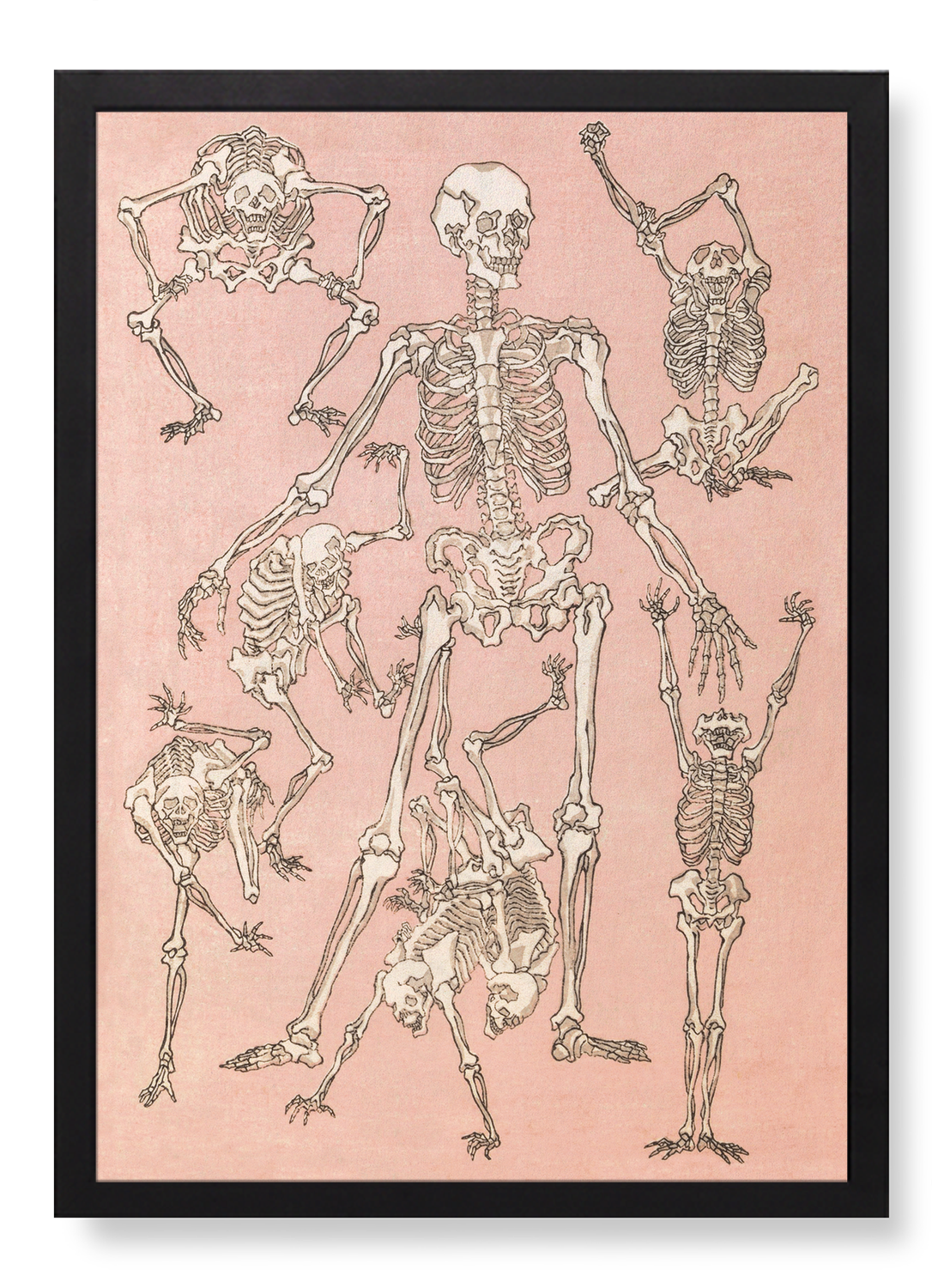 STUDY OF SKELETONS FRONT (1881)