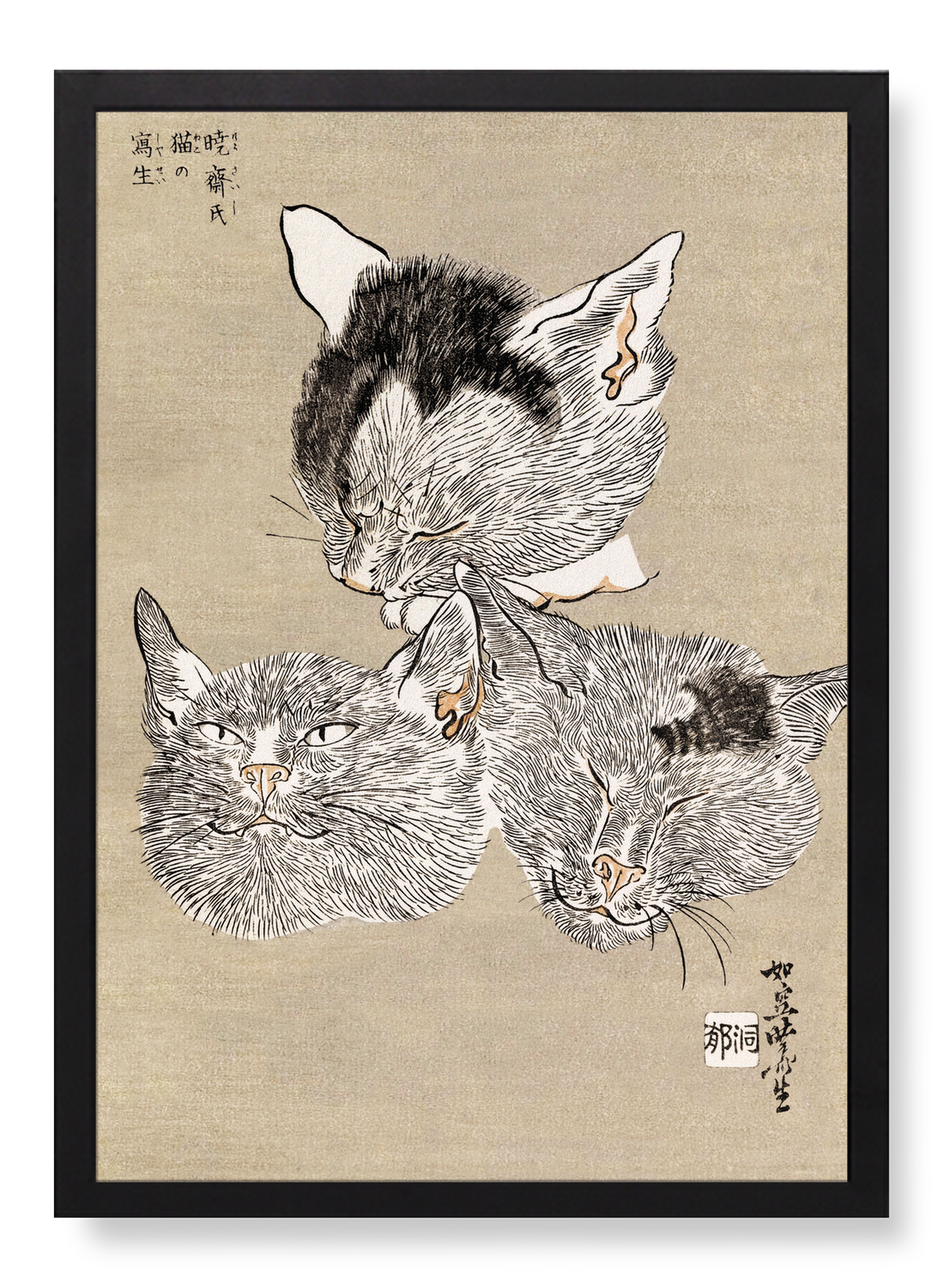 THREE CAT HEADS (C.1880)