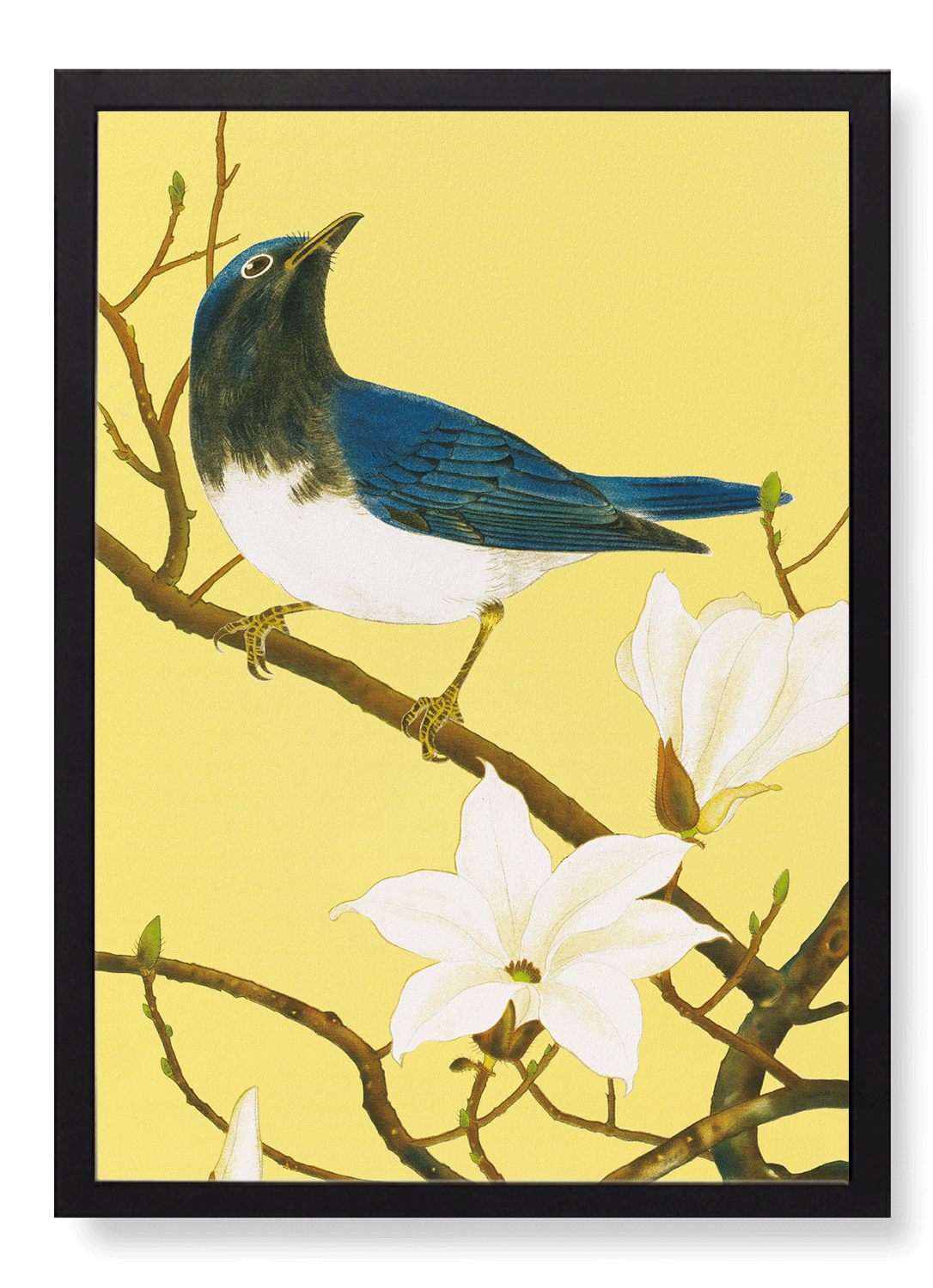 BLUE-AND-WHITE FLYCATCHER AND MAGNOLIA TREE (C.1930)