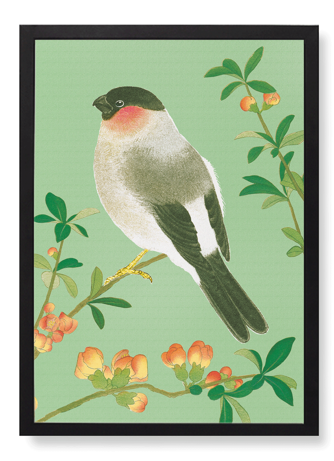 EURASIAN BULLFINCH WITH CHINESE QUINCE (C.1930)