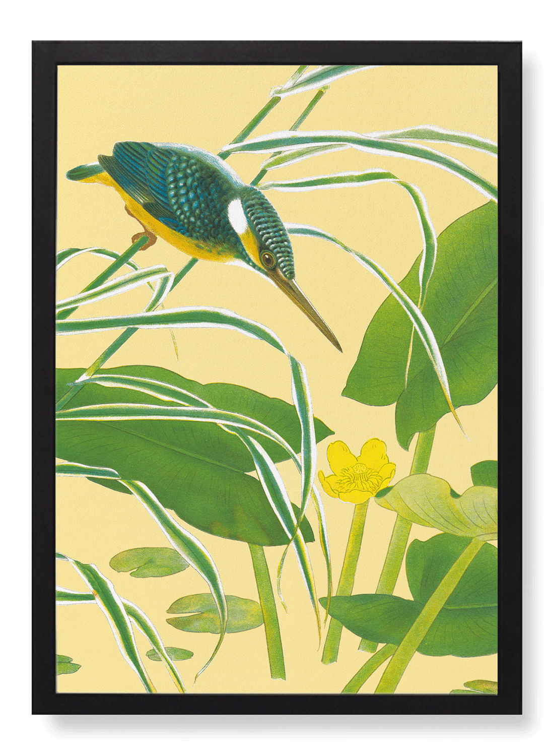 KINGFISHER WITH EAST ASIAN YELLOW WATER-LILY (C.1930)