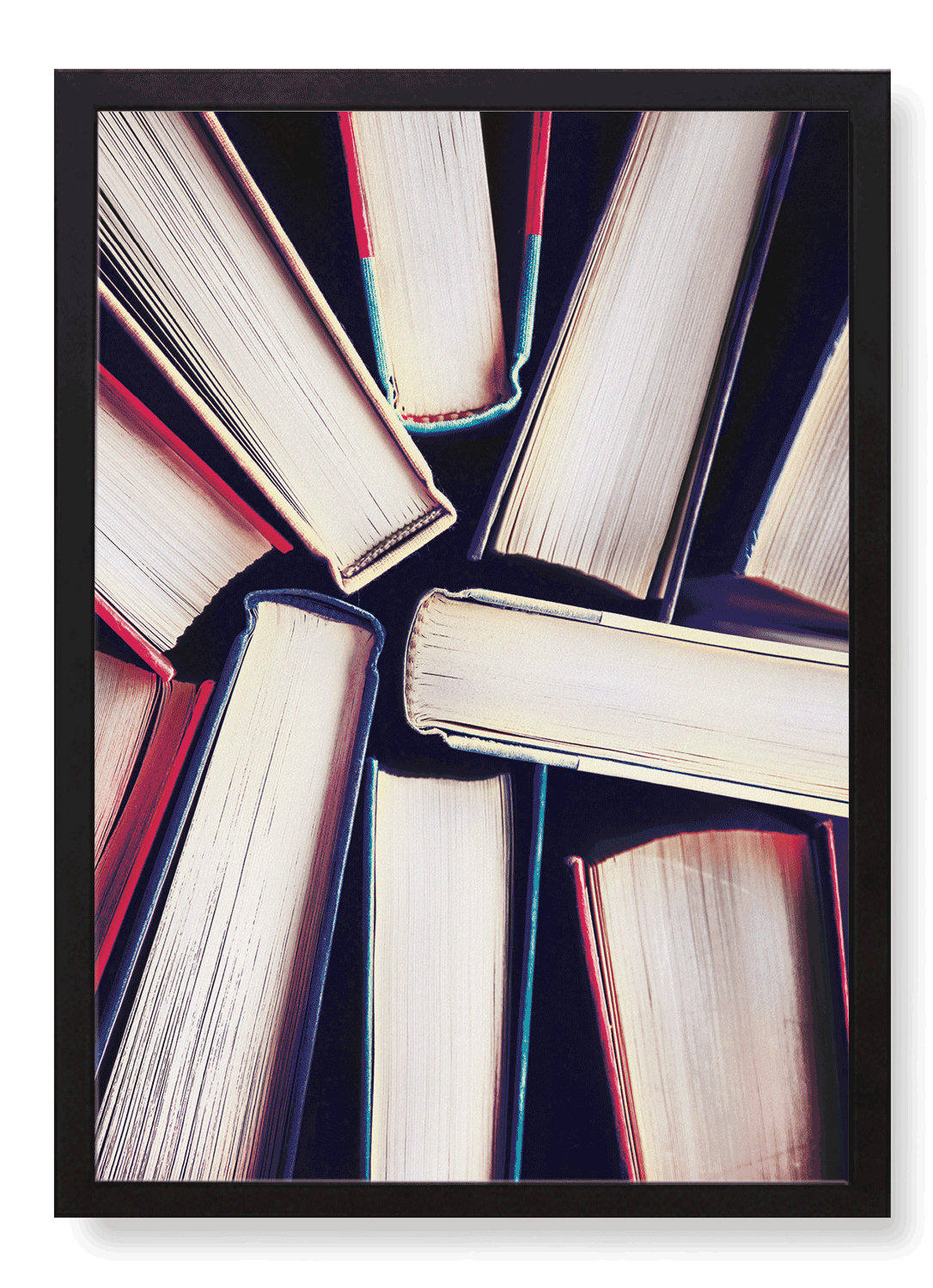 SNAPSHOT OF BOOKS