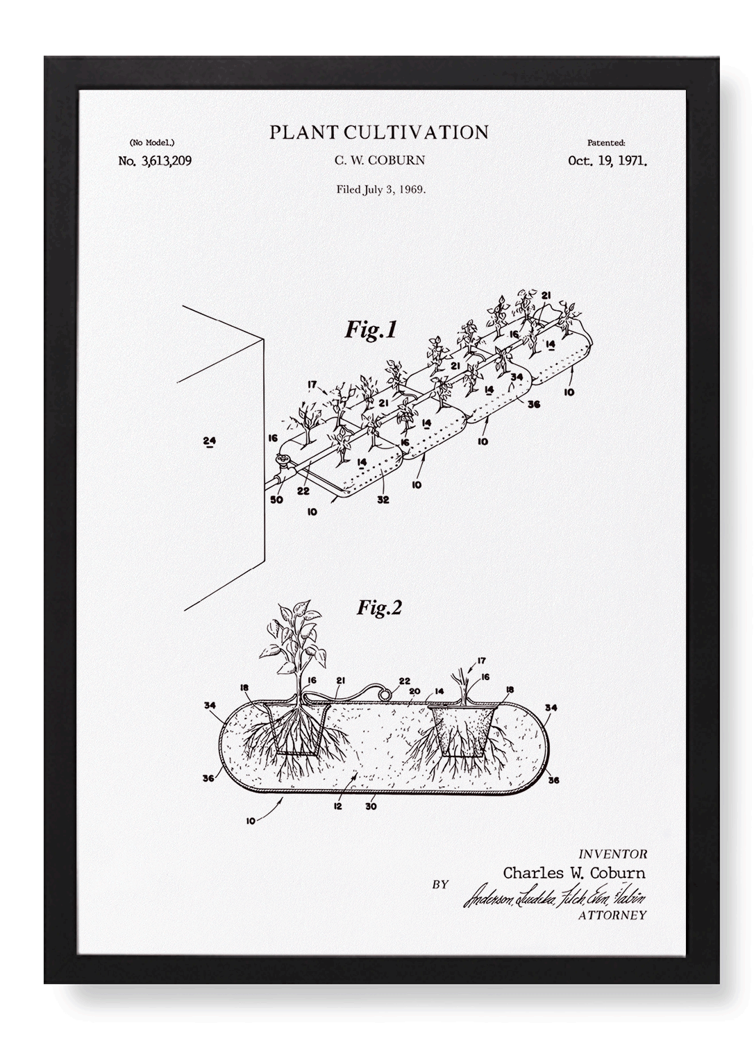 PATENT OF PLANT CULTIVATION (1971)